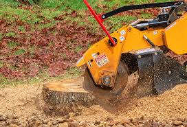 Best Weed Control Services  in Pine Knot, KY